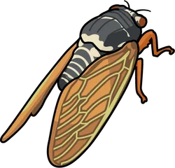 スマホ自作アプリを無料公開：飛び出す昆虫図鑑ゲーム